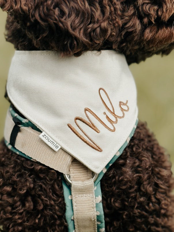 Bandana - Name 1