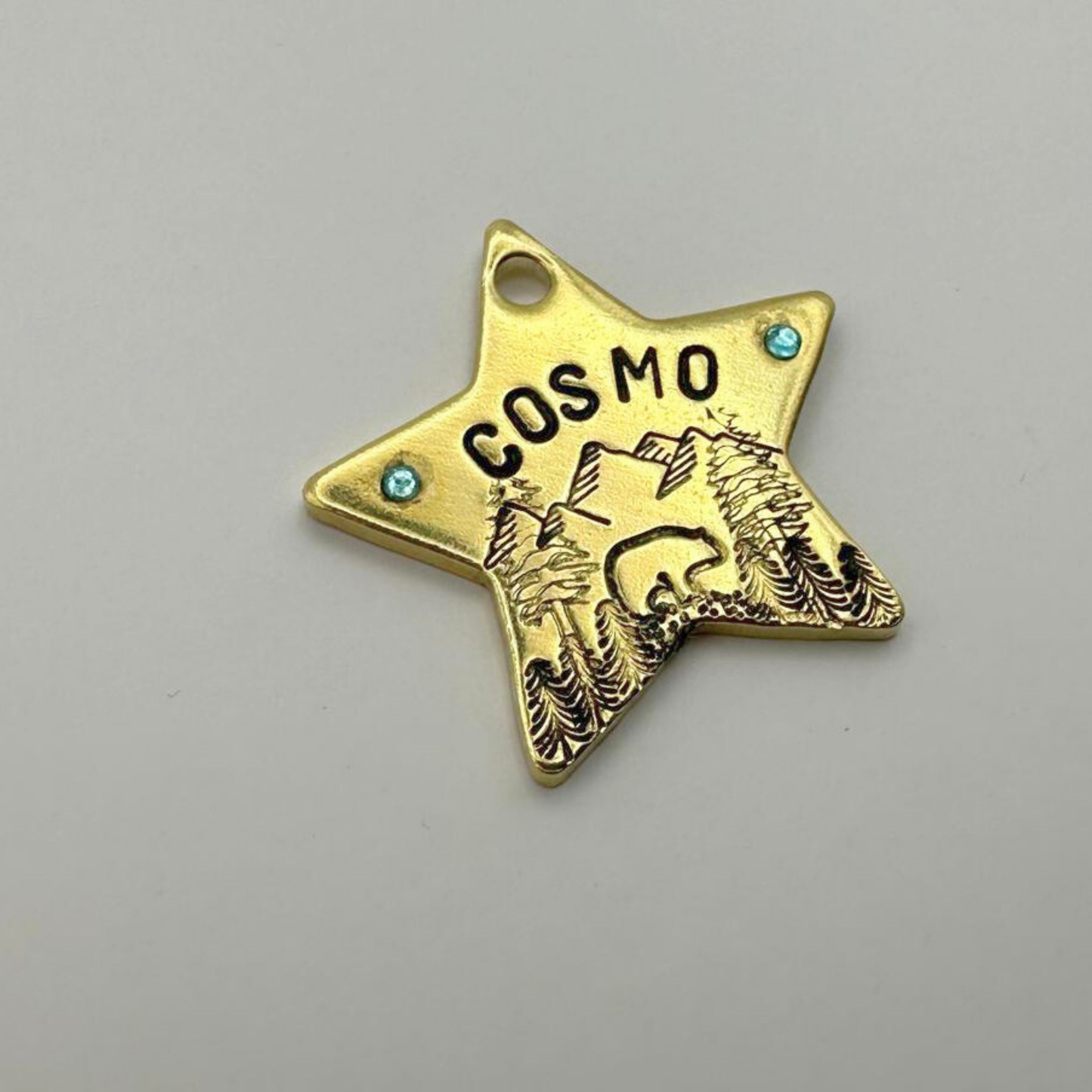 Hundemarke - Stern mit Kristallen 31 mm