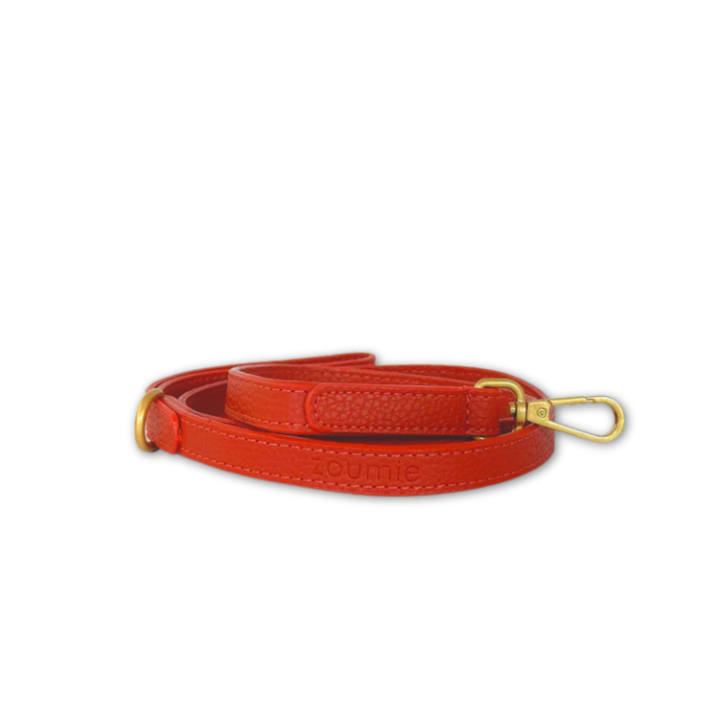 Laisse pour chien - Amour