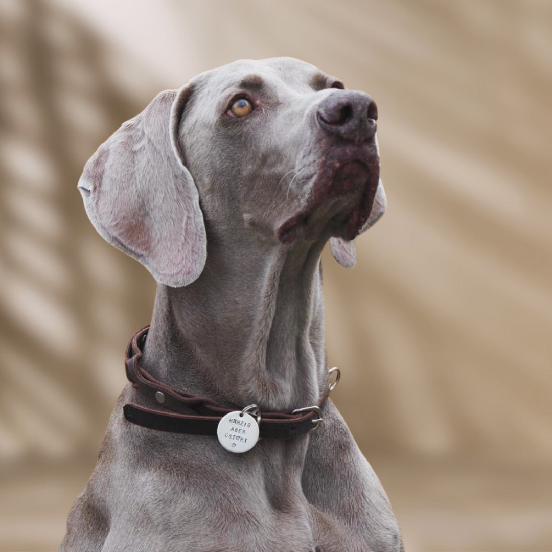 Hundemarke - Schwizerdütsch "härzig"