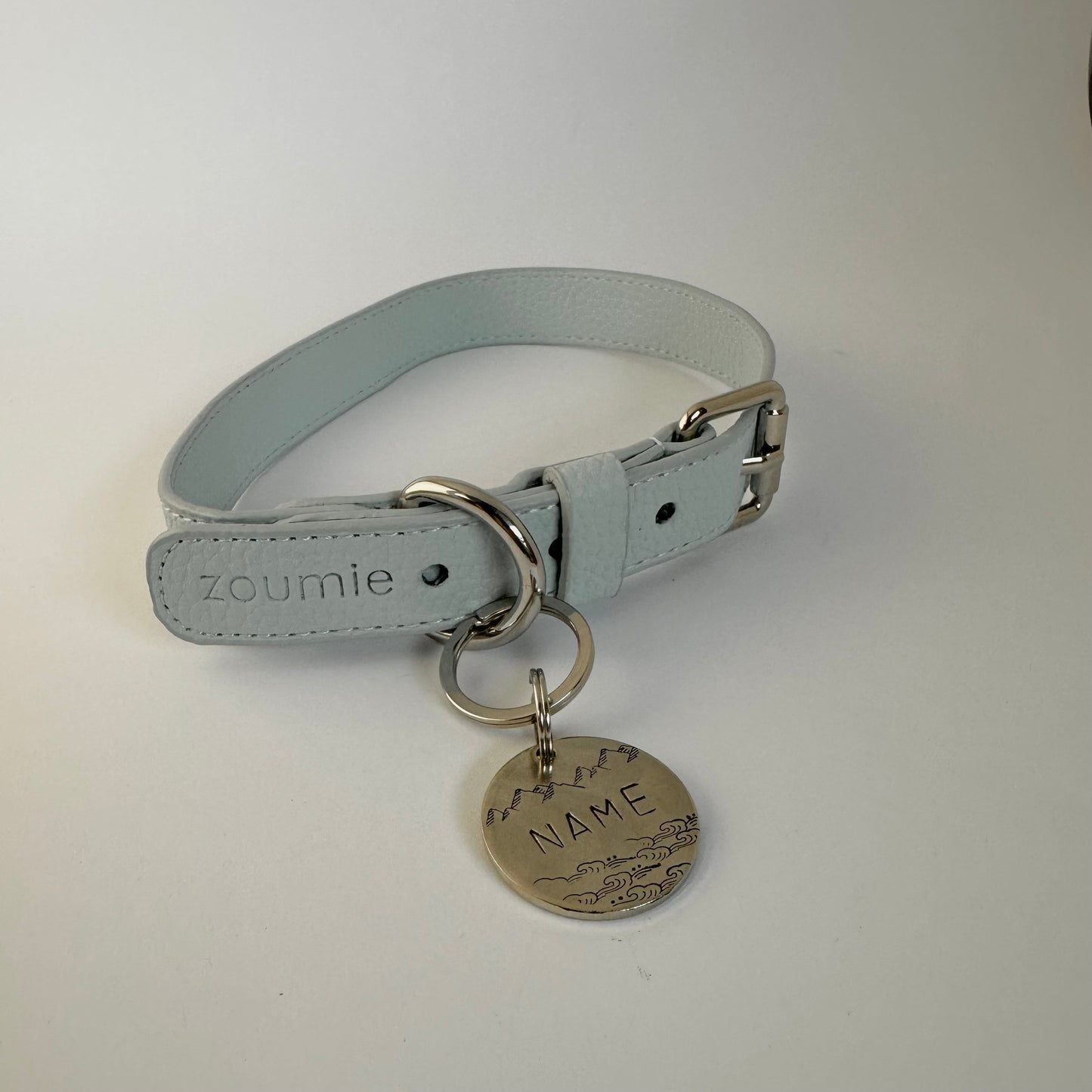 Médaille pour chien - Aare