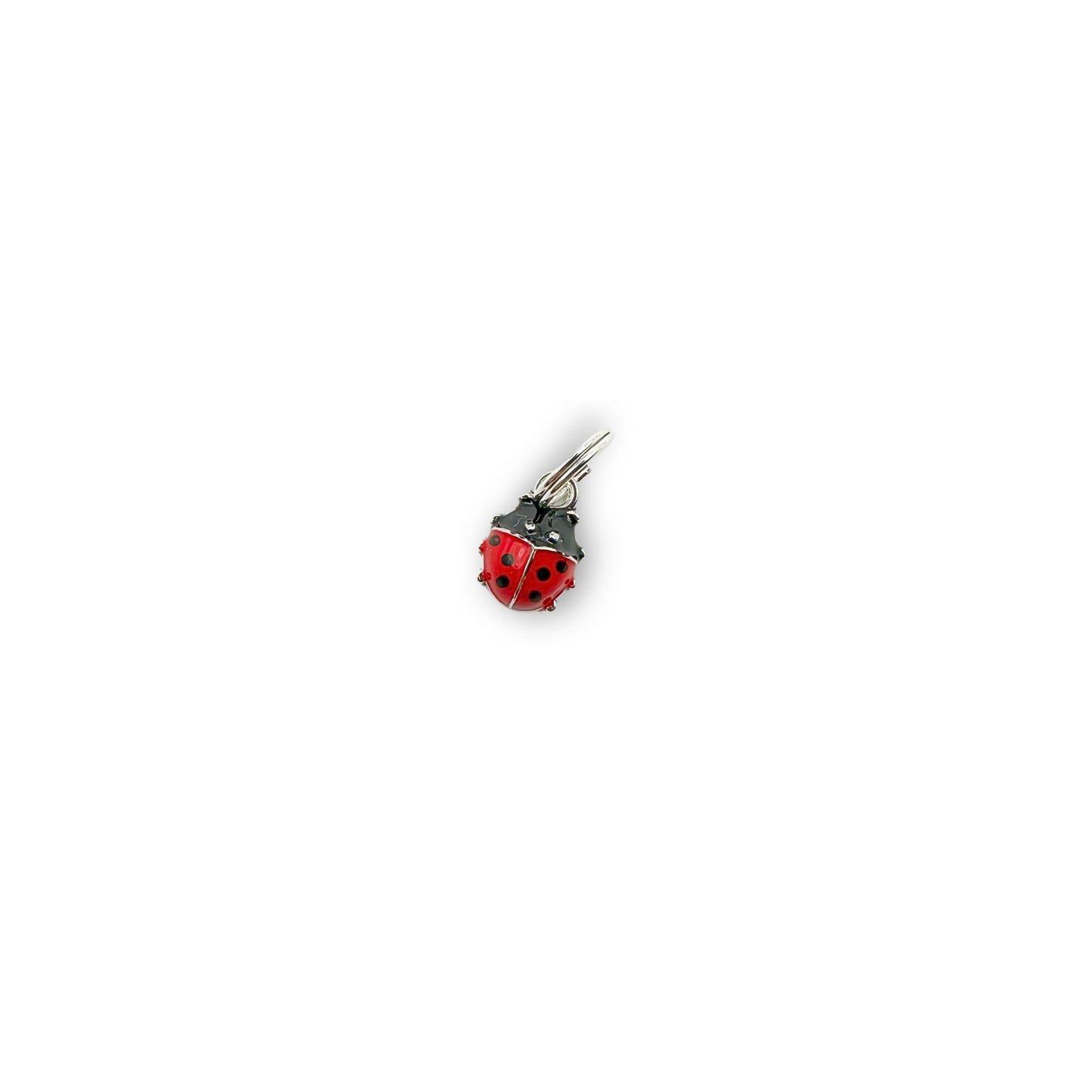 Ladybug Charm