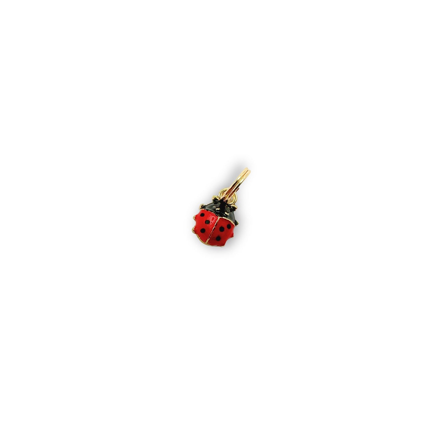 Ladybug Charm