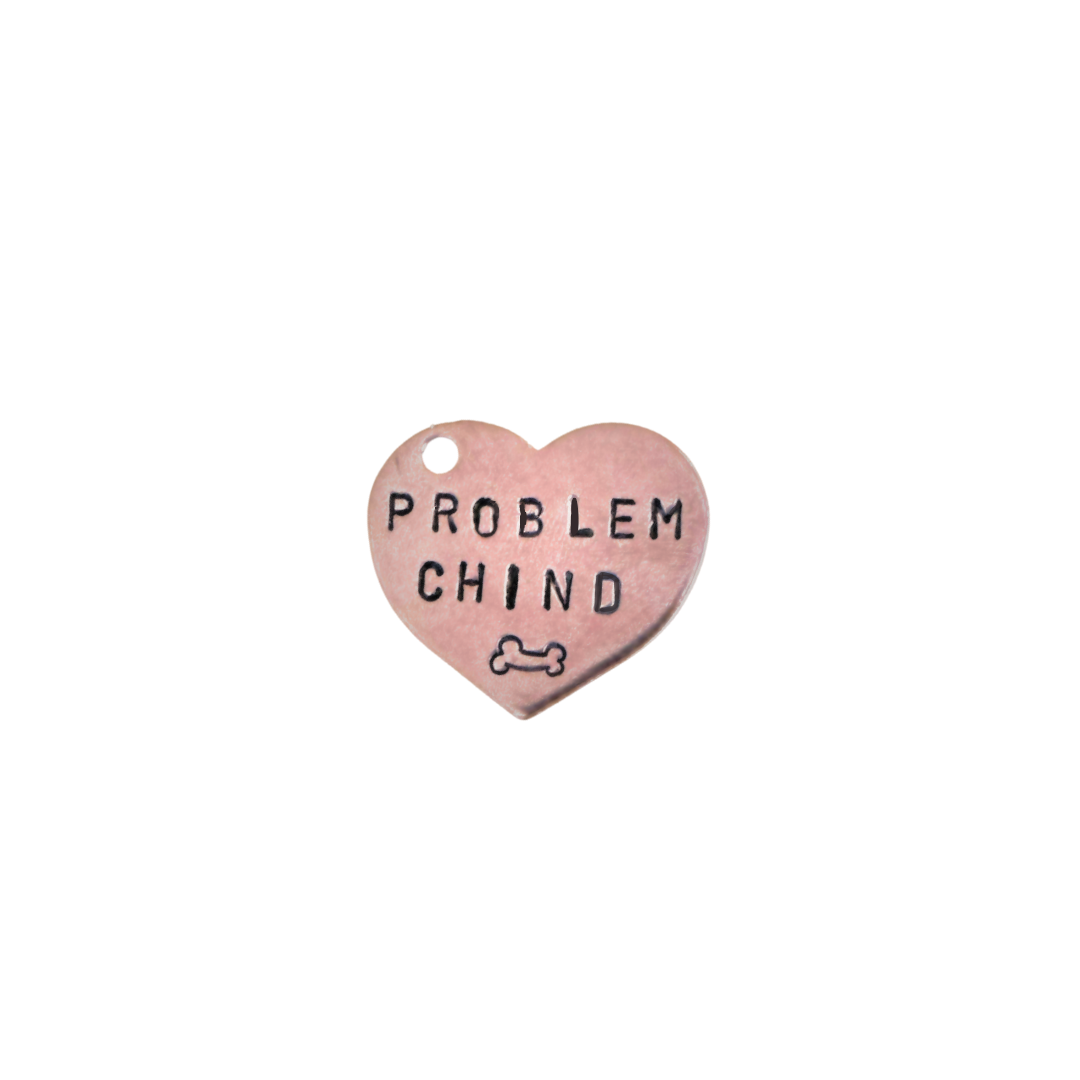 Dog Tag - Swiss German "Problemchind"